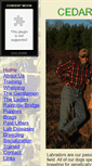 Mobile Screenshot of cedarswampretrievers.com